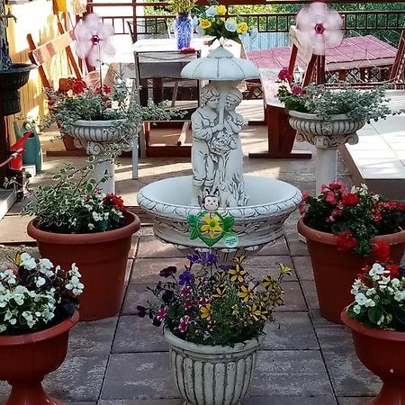 Casa Voica Apartment ทูร์ดา ภายนอก รูปภาพ