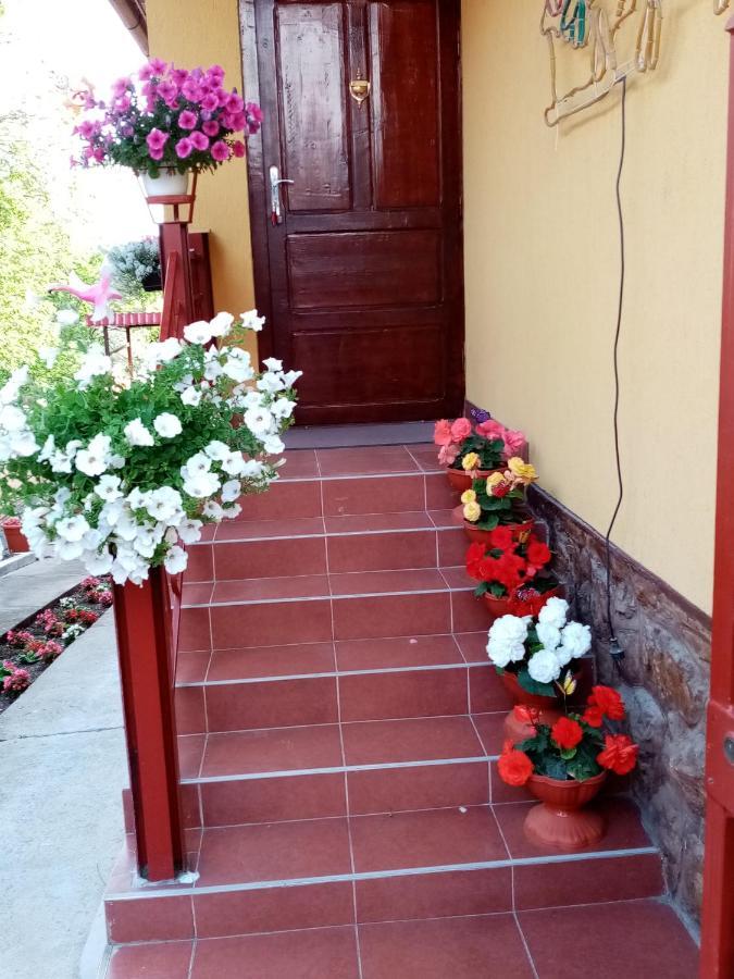 Casa Voica Apartment ทูร์ดา ภายนอก รูปภาพ