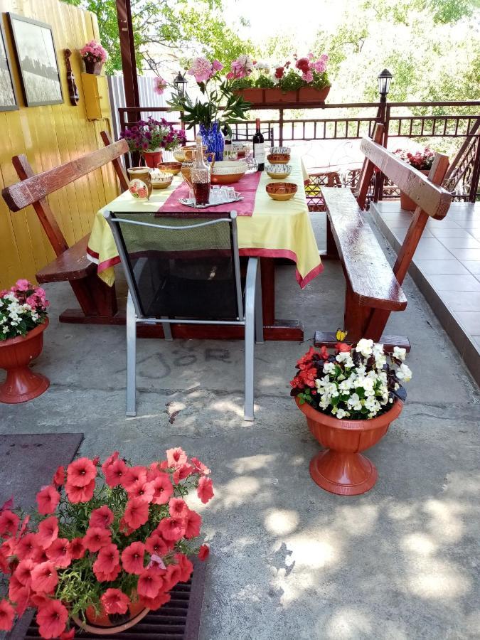 Casa Voica Apartment ทูร์ดา ภายนอก รูปภาพ