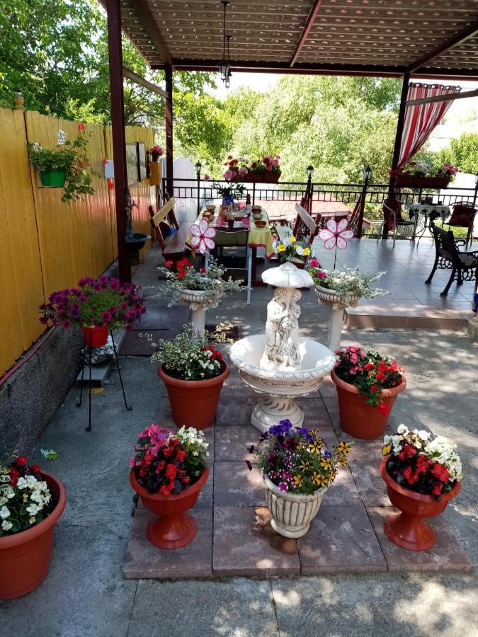 Casa Voica Apartment ทูร์ดา ภายนอก รูปภาพ