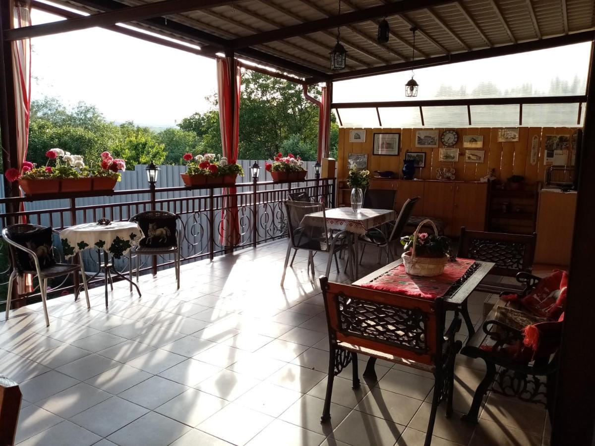 Casa Voica Apartment ทูร์ดา ภายนอก รูปภาพ