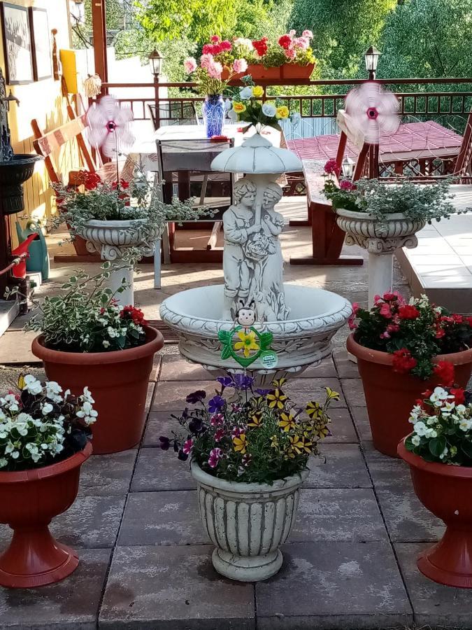Casa Voica Apartment ทูร์ดา ภายนอก รูปภาพ