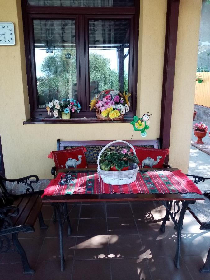 Casa Voica Apartment ทูร์ดา ภายนอก รูปภาพ