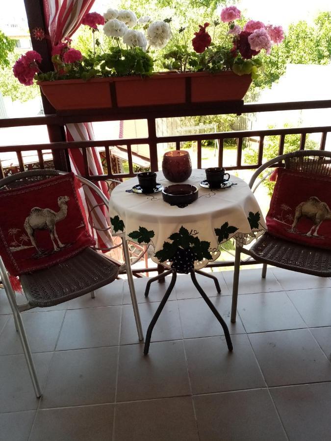 Casa Voica Apartment ทูร์ดา ภายนอก รูปภาพ