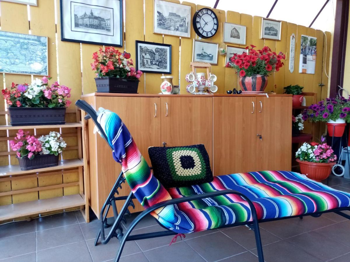 Casa Voica Apartment ทูร์ดา ภายนอก รูปภาพ
