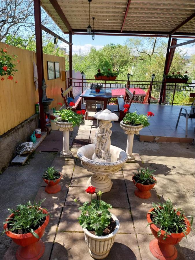 Casa Voica Apartment ทูร์ดา ภายนอก รูปภาพ