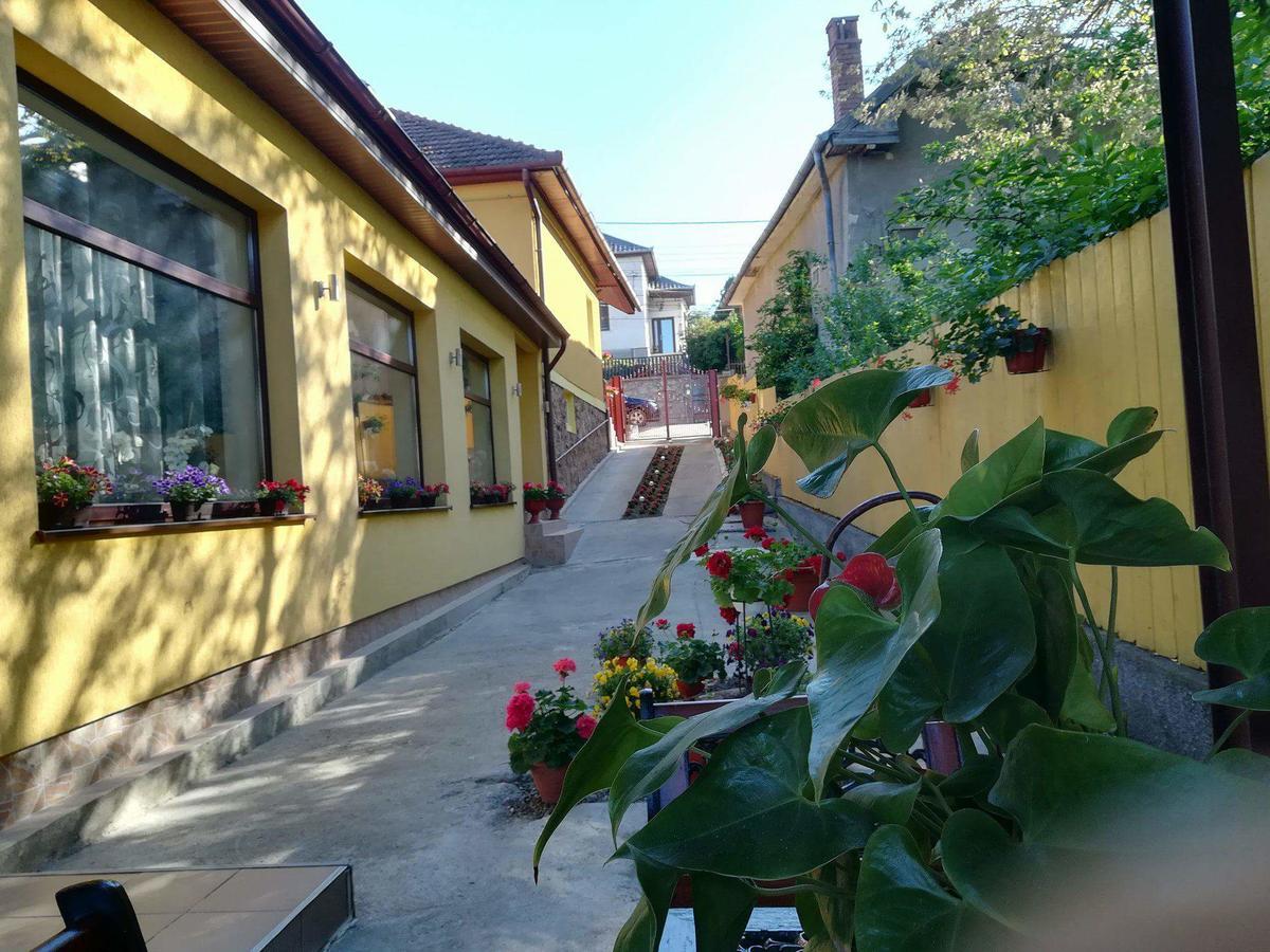 Casa Voica Apartment ทูร์ดา ภายนอก รูปภาพ