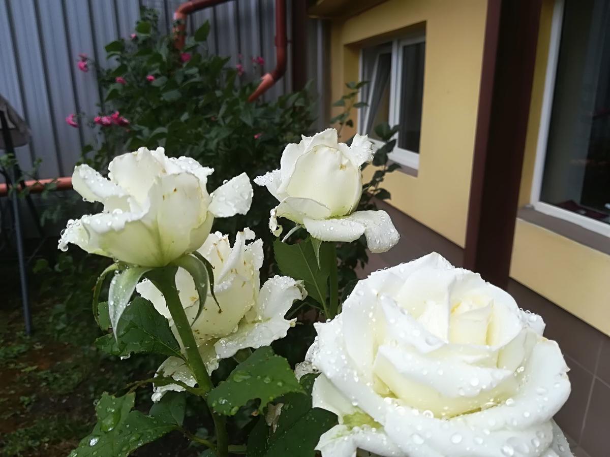 Casa Voica Apartment ทูร์ดา ภายนอก รูปภาพ